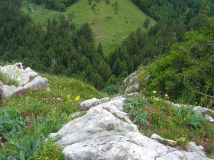 DSCN0770
